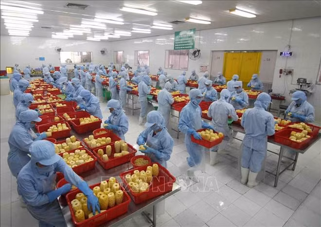 Buenas señales para sector de exportación de Vietnam en 2022 ảnh 2