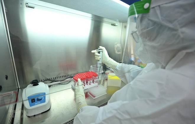 Vietnam reporta reducción de casos del COVID-19 ảnh 1 Vietnam reporta reducción de casos del COVID-19 ảnh 1