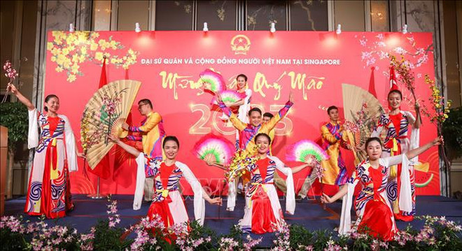 Celebran vietnamitas en Singapur fiesta por Año Nuevo Lunar ảnh 1