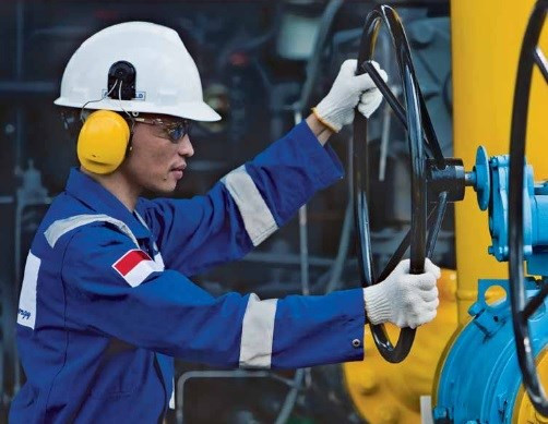 Empresa japonesa invierte en proyecto de energía geotérmica en Indonesia ảnh 1