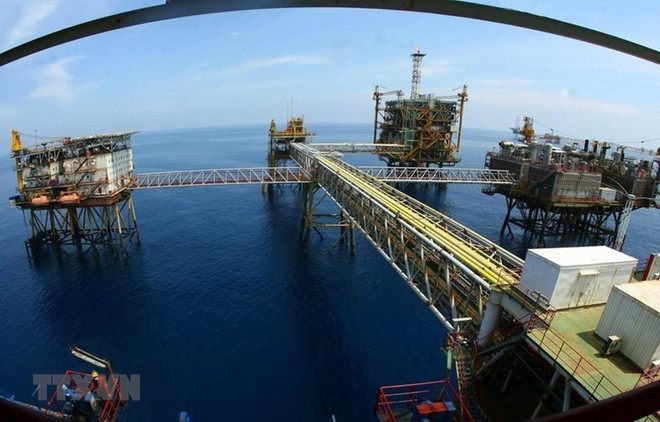  Afirman posición de Vietnam en integración económica ảnh 2