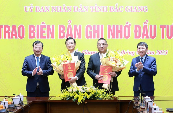 Grupo chino coloca cien millones de dólares en Vietnam ảnh 1