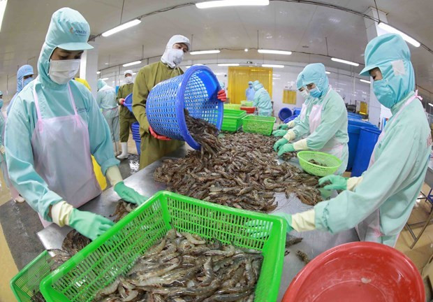 Exportadores vietnamitas de camarón reportan ganancias en 2022 gracias a TLC ảnh 1 Exportadores vietnamitas de camarón reportan ganancias en 2022 gracias a TLC ảnh 1