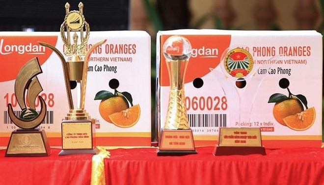 Exportan primer lote de naranjas Cao Phong al Reino Unido ảnh 1