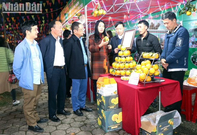 Celebran en ciudad vietnamita festival de productos agrícolas ảnh 1 Celebran en ciudad vietnamita festival de productos agrícolas ảnh 1