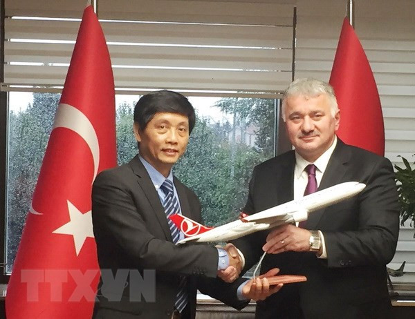 Vietnam promueve sus potencialidades en Turquía a fin de atraer inversiones ảnh 1 Vietnam promueve sus potencialidades en Turquía a fin de atraer inversiones ảnh 1