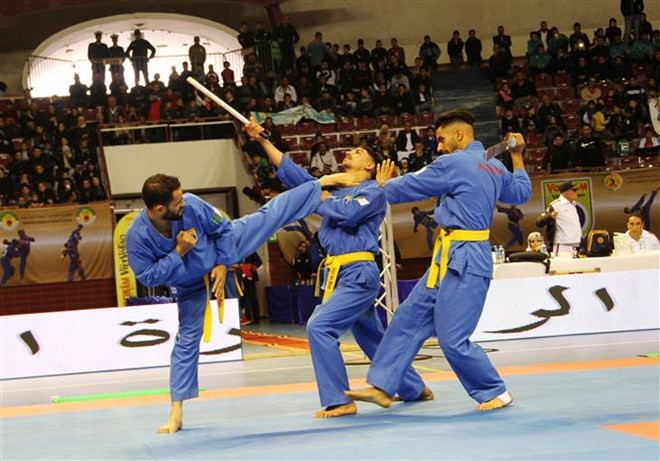 Establecen Federación del arte marcial vietnamita Vovinam en el mundo árabe ảnh 1 Establecen Federación del arte marcial vietnamita Vovinam en el mundo árabe ảnh 1