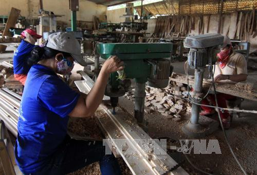 Exportaciones silvícolas de Vietnam prevén superar nueve mil millones de dólares este año ảnh 1 Exportaciones silvícolas de Vietnam prevén superar nueve mil millones de dólares este año ảnh 1