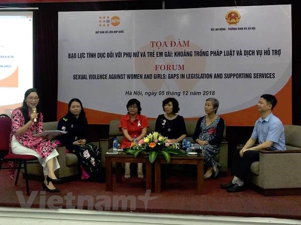 Debaten en Vietnam medidas destinadas a intensificar lucha contra violencia de género ảnh 1