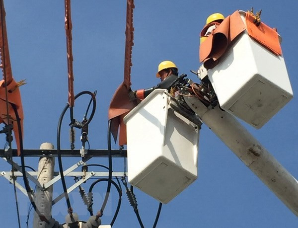 Hogares pobres vietnamitas se benefician por servicios gratuitos del Grupo nacional de Electricidad ảnh 1