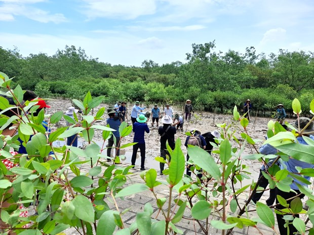 Transición energética en Vietnam moviliza fondos millonarios de socios internacionales ảnh 2 Transición energética en Vietnam moviliza fondos millonarios de socios internacionales ảnh 2