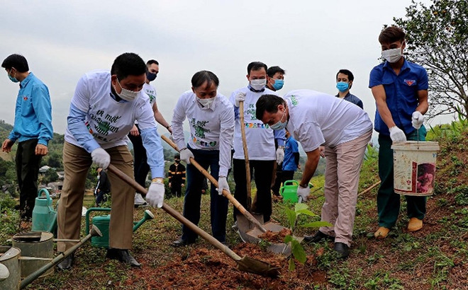 Embajada de Israel apoya reforestación en provincia vietnamita ảnh 1 Embajada de Israel apoya reforestación en provincia vietnamita ảnh 1