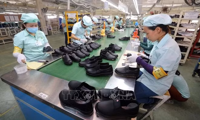 Fábricas de calzado vietnamitas dominan mercado de exportación ảnh 1
