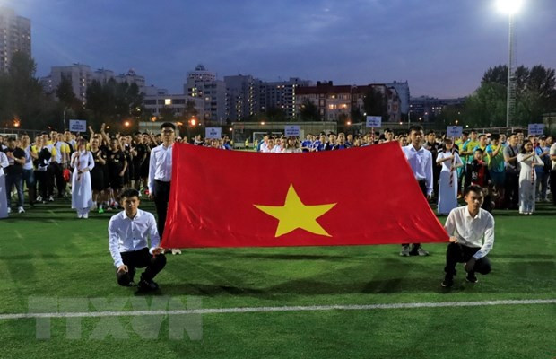 Diplomacia popular contribuye a sinergia del sector diplomático de Vietnam ảnh 1