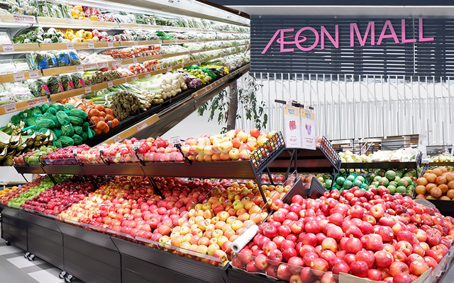 Promueven productos agrícolas vietnamitas en sistemas de distribución extranjeros ảnh 1