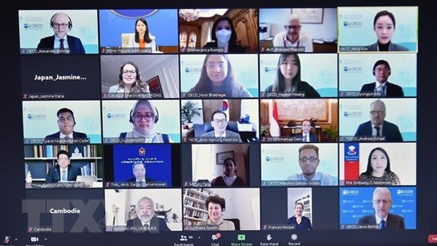 Vietnam nominado al cargo de copresidente del Programa del Sudeste Asiático de la OCDE ảnh 1 Vietnam nominado al cargo de copresidente del Programa del Sudeste Asiático de la OCDE ảnh 1