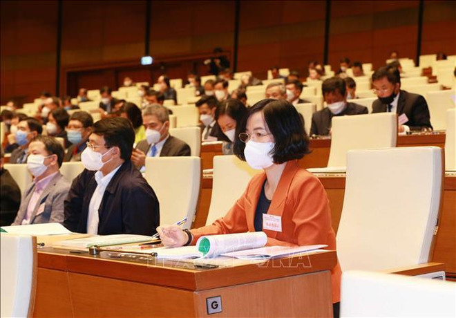 Diplomacia local juega papel importante en integración internacional ảnh 2 Diplomacia local juega papel importante en integración internacional ảnh 2