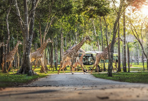 Lanzan página especial para promover turismo vietnamita en el extranjero ảnh 3