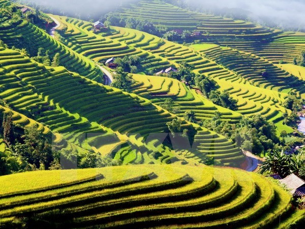 Canal televisivo alemán ARD realiza documental sobre Vietnam ảnh 1 Canal televisivo alemán ARD realiza documental sobre Vietnam ảnh 1