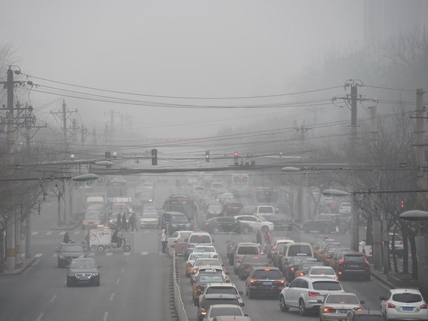 OMS: El ser humano está amenazado por la contaminación ambiental ảnh 1