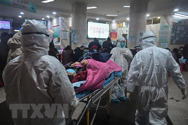 Fortalecen en Vietnam medidas para prevenir propagación de coronavirus ảnh 1