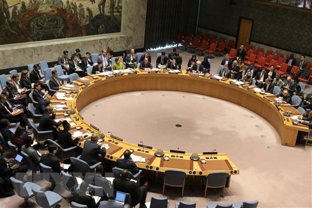 Valora Vietnam esfuerzos de ONU en proceso de paz en Libia ảnh 1