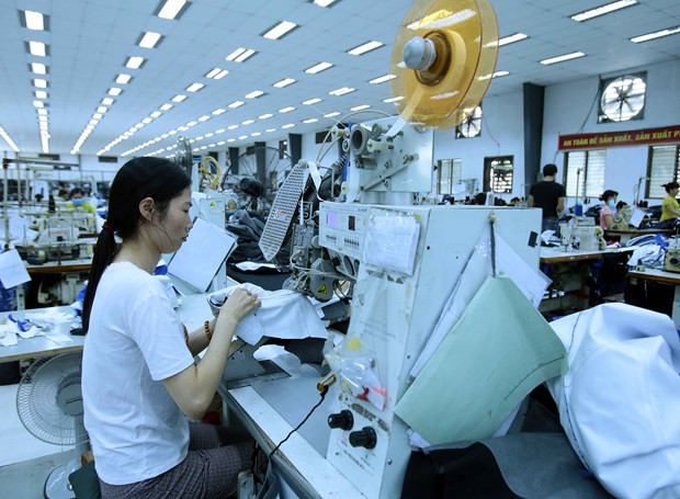 Vietnam registra 8,3 mil nuevas empresas en enero ảnh 1 Vietnam registra 8,3 mil nuevas empresas en enero ảnh 1