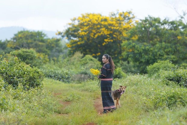 Destinos favoritos de turistas vietnamitas en 2022 ảnh 3 Destinos favoritos de turistas vietnamitas en 2022 ảnh 3