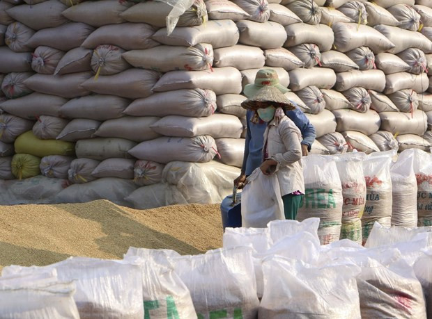 Aumentan exportaciones agrosilvícolas y acuícolas de Vietnam ảnh 1