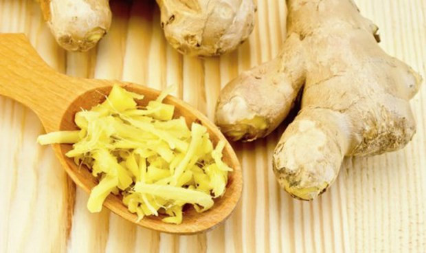 Buscan promover exportaciones agrícolas de Vietnam a Australia ảnh 1 Buscan promover exportaciones agrícolas de Vietnam a Australia ảnh 1