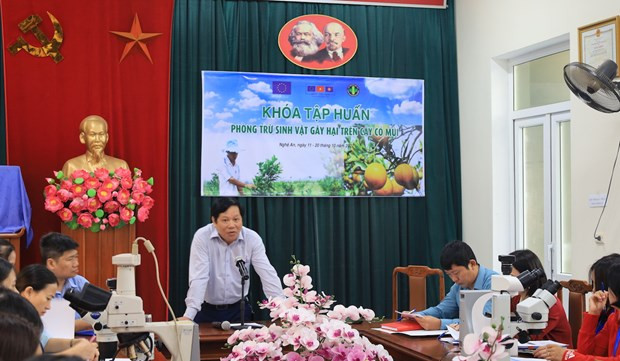Exportación de productos agrícolas de Vietnam recibe apoyo de UE ảnh 1 Exportación de productos agrícolas de Vietnam recibe apoyo de UE ảnh 1