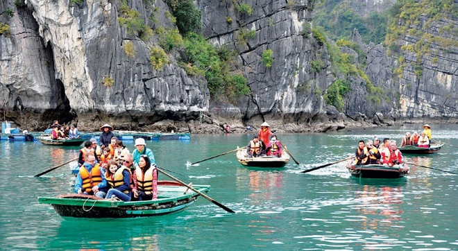 Vietnam disfruta de fuerte aumento en número de turistas indios ảnh 1 Vietnam disfruta de fuerte aumento en número de turistas indios ảnh 1