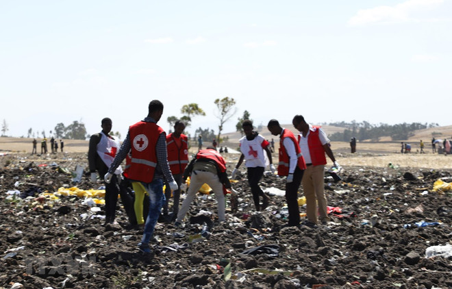 Participarán expertos indonesios en investigación de siniestro aéreo en Etiopía ảnh 1