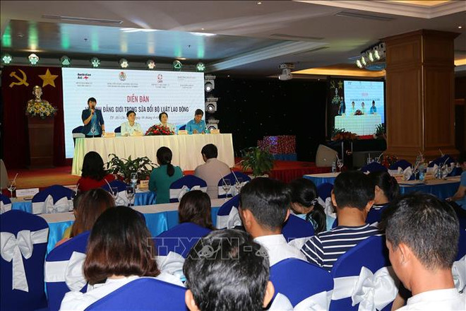 Debaten en Vietnam papel de igualdad de género en sector laboral ảnh 1