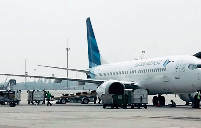Comprará Aerolínea indonesia Garuda aviones de Airbus en sustitución del Boeing 737 MAX ảnh 1 Comprará Aerolínea indonesia Garuda aviones de Airbus en sustitución del Boeing 737 MAX ảnh 1