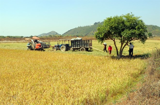 Construyen en Vietnam embalses para enfrentar sequía en provincia de Lam Dong ảnh 1 Construyen en Vietnam embalses para enfrentar sequía en provincia de Lam Dong ảnh 1