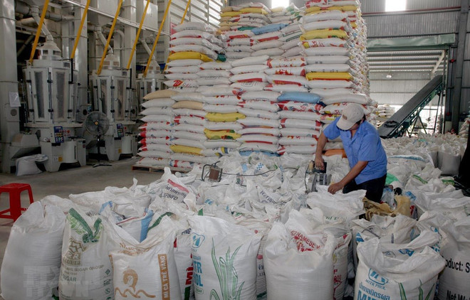 Registra Vietnam reducción de ingresos por exportaciones de arroz ảnh 1 Registra Vietnam reducción de ingresos por exportaciones de arroz ảnh 1