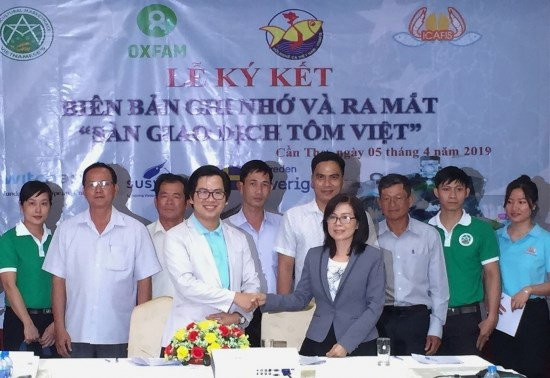 Presentan en Vietnam primer salón de transacciones de camarones ảnh 1