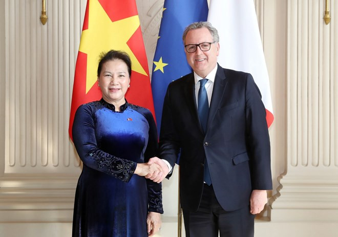 Presidenta parlamentaria se entrevista con su par francés ảnh 1 Presidenta parlamentaria se entrevista con su par francés ảnh 1