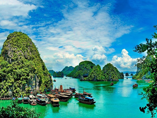 Bahía Ha Long, una de las maravillas naturales más bellas en el mundo ảnh 1 Bahía Ha Long, una de las maravillas naturales más bellas en el mundo ảnh 1