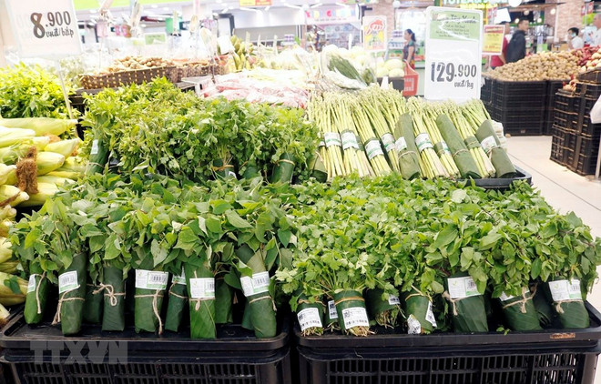 Aprecia prensa internacional uso de hojas de plátano como envases en supermercados vietnamitas ảnh 1 Aprecia prensa internacional uso de hojas de plátano como envases en supermercados vietnamitas ảnh 1