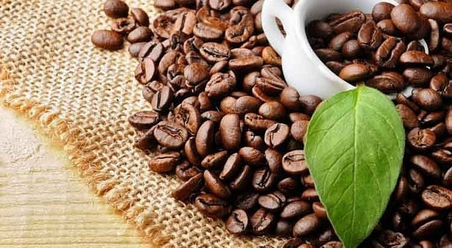 Aumentan oportunidades de exportación de café vietnamita a Estados Unidos ảnh 1 Aumentan oportunidades de exportación de café vietnamita a Estados Unidos ảnh 1