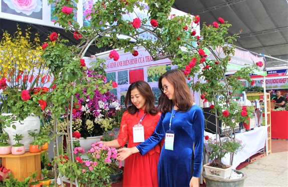 Intensifican Vietnam, Laos y Camboya intercambios en producción agrícola limpia ảnh 1 Intensifican Vietnam, Laos y Camboya intercambios en producción agrícola limpia ảnh 1