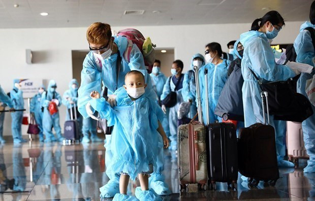 Vietnam registra 12 casos nuevos del COVID-19 ảnh 1 Vietnam registra 12 casos nuevos del COVID-19 ảnh 1