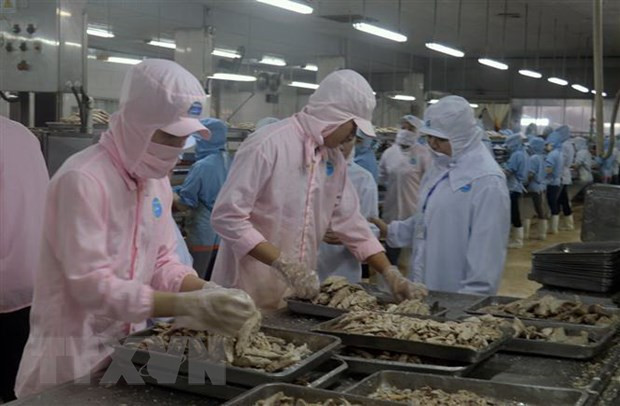 Vietnam aboga por relaciones comerciales equitativas y sostenibles con Estados Unidos ảnh 1 Vietnam aboga por relaciones comerciales equitativas y sostenibles con Estados Unidos ảnh 1