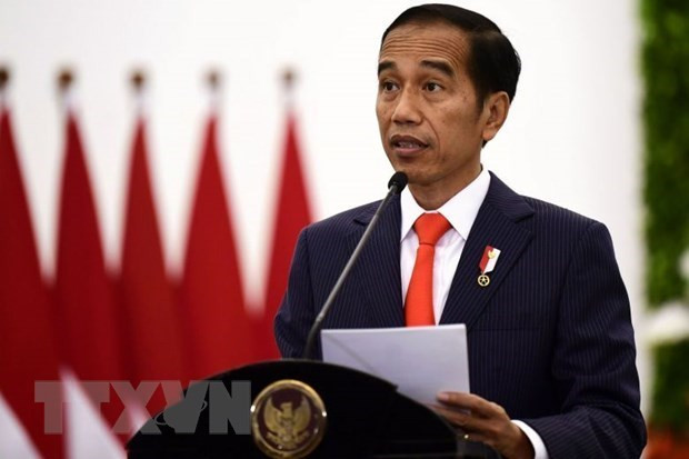 Indonesia continúa ofreciendo asistencia en efectivo a pobladores ảnh 1