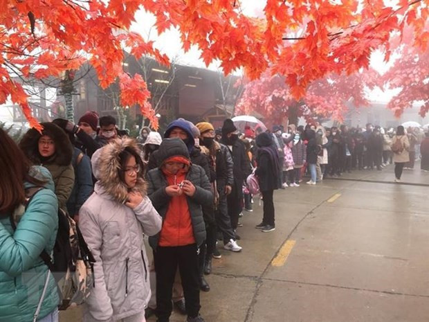 Polo turístico de Sa Pa recibe a 65 mil turistas en días festivos ảnh 1 Polo turístico de Sa Pa recibe a 65 mil turistas en días festivos ảnh 1