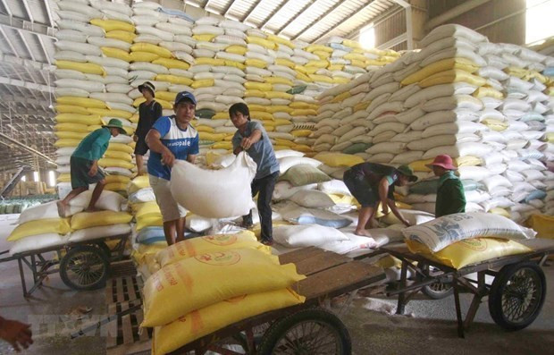 Vietnam exporta más de seis millones de toneladas de arroz en 2020 ảnh 1 Vietnam exporta más de seis millones de toneladas de arroz en 2020 ảnh 1