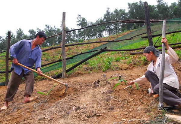 Provincia vietnamita aumenta inversiones en proyectos de control de erosión ảnh 1 Provincia vietnamita aumenta inversiones en proyectos de control de erosión ảnh 1