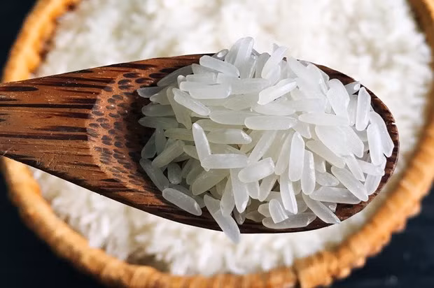 Buscan elevar calidad de variedad de arroz ST de Vietnam ảnh 1 Buscan elevar calidad de variedad de arroz ST de Vietnam ảnh 1